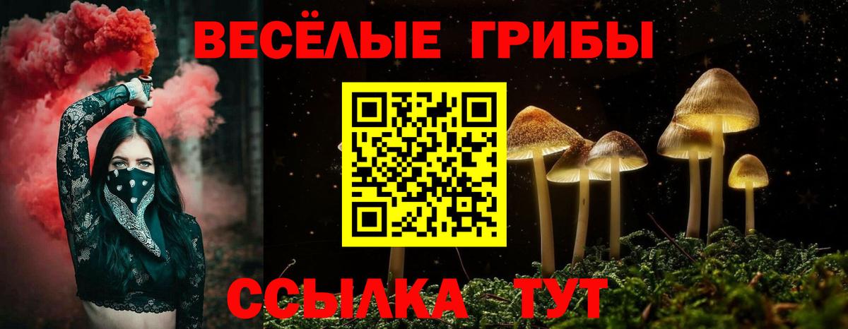 Галлюциногенные грибы прущие грибы  Псилоцибиновые грибы Psilocybe  Миасс  Вход с VPN 